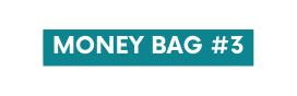 MONEY BAG 3